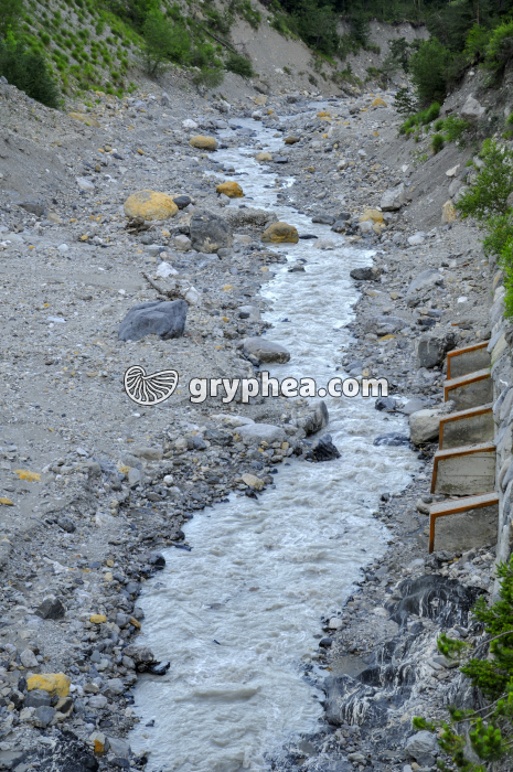 Ravinement par un torrent dans une zone montagneuse - gryphea.com